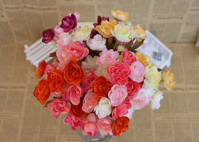 山茶花花束