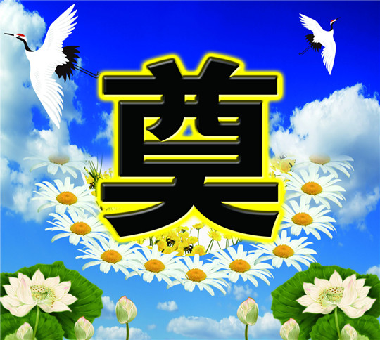丧事送什么花